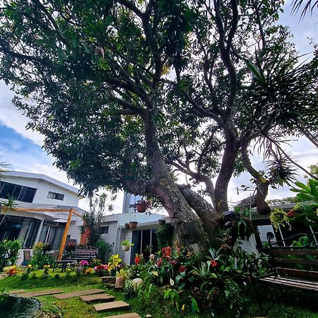Casa Jardin Del Mango Hotel San Jose  Luaran gambar